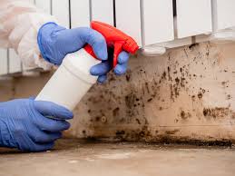 Best Forensic Mold Investigation  in Gordo, AL